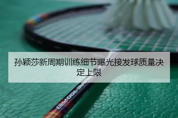 孙颖莎新周期训练细节曝光接发球质量决定上限 - betwaySports